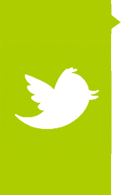 Twit